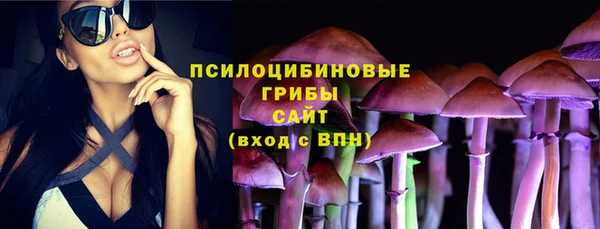 спиды Богданович
