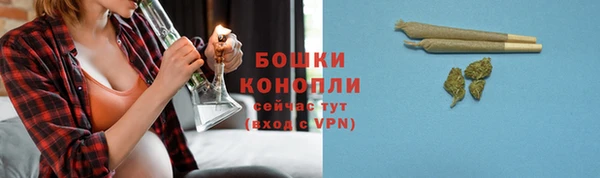 apvp Богородск