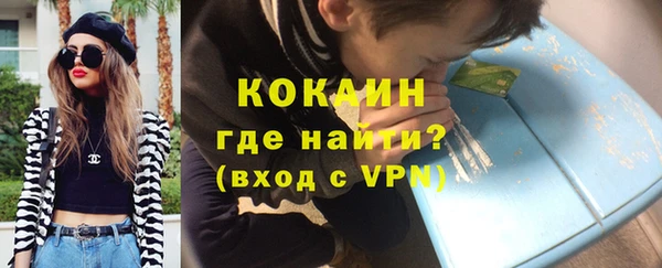 спиды Богданович