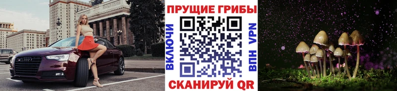 Купить  Купино  Галлюциногенные грибы Psilocybine cubensis 