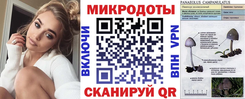 Псилоцибиновые грибы Psilocybine cubensis Купино